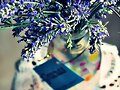 aroma de lavanda