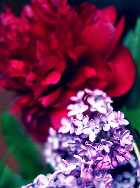 Olor + color