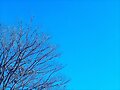 Cold Sky