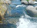 Weir