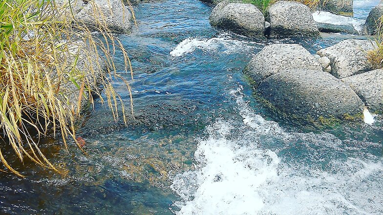 Weir