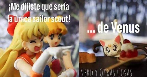 pobre sailor venus