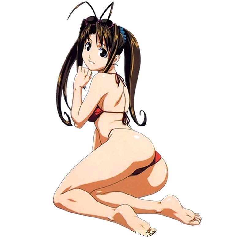 Naru Narusegawa (Love Hina)