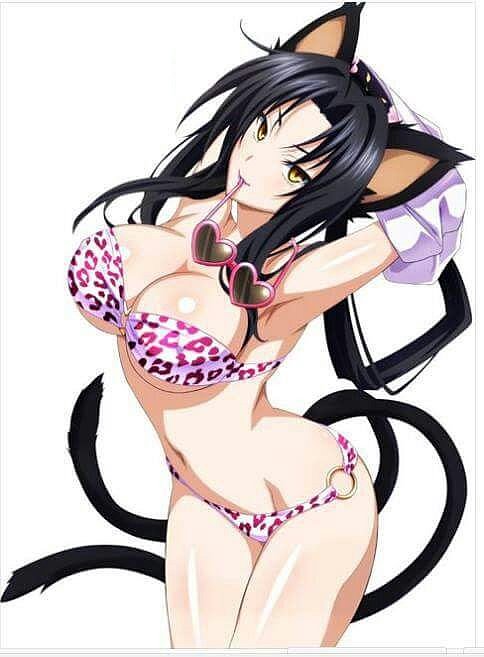 Kuroka Tojo (Highschool DxD)