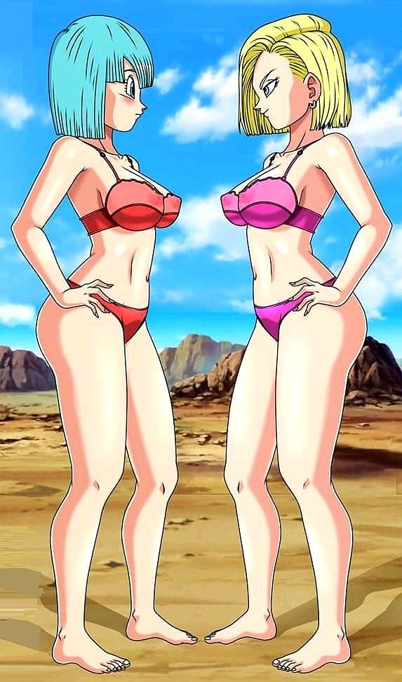 Bulma y Numero 18 (Dragon Ball Z)