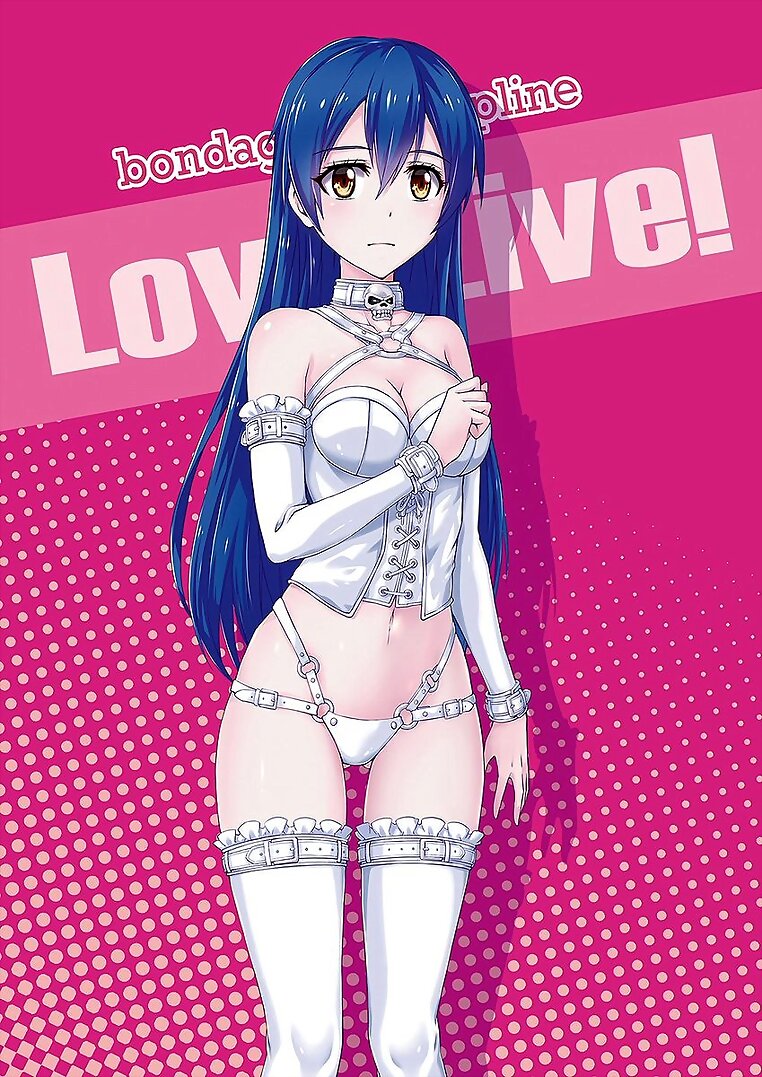 Umi Sonoda (Love Live! School Idol Project)