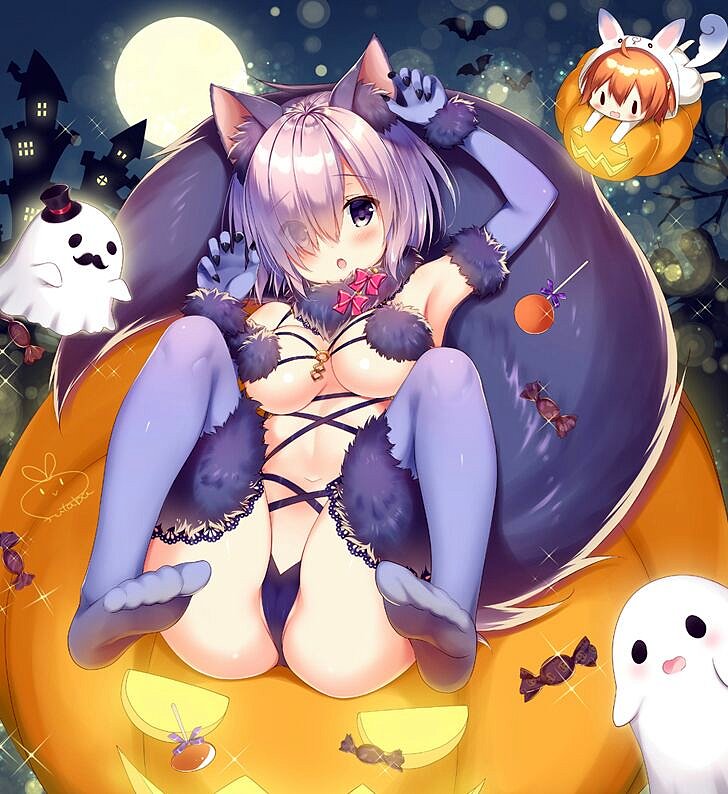 Shielder (Fate Grand Order)