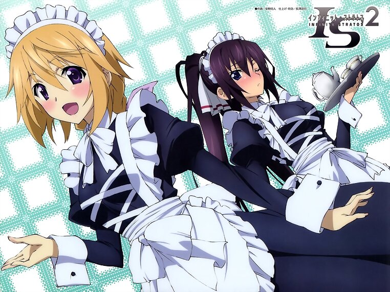 Charlotte Dunois y Houki Shinonono (Infinite Strat