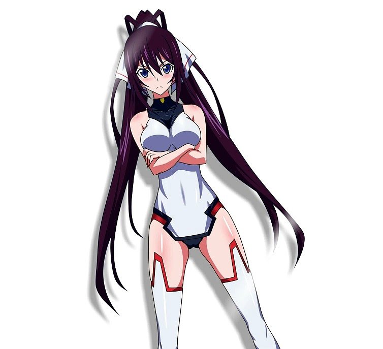 Houki Shinonono (Ininite Stratos)