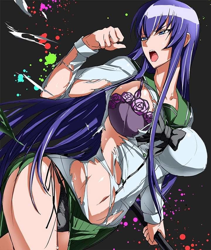 Saeko Busujima (Highschool of The Dead)
