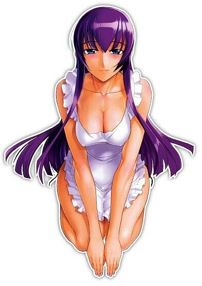 Saeko Busujima (Highschool of The Dead)