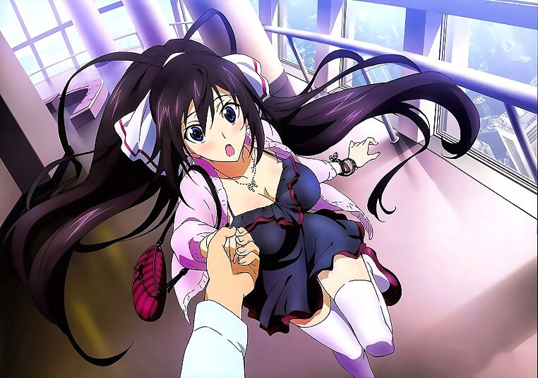 Houki Shinonono (Ininite Stratos)