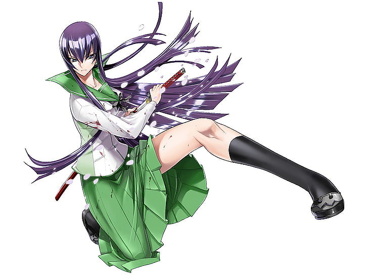 Saeko Busujima (Highschool of The Dead)