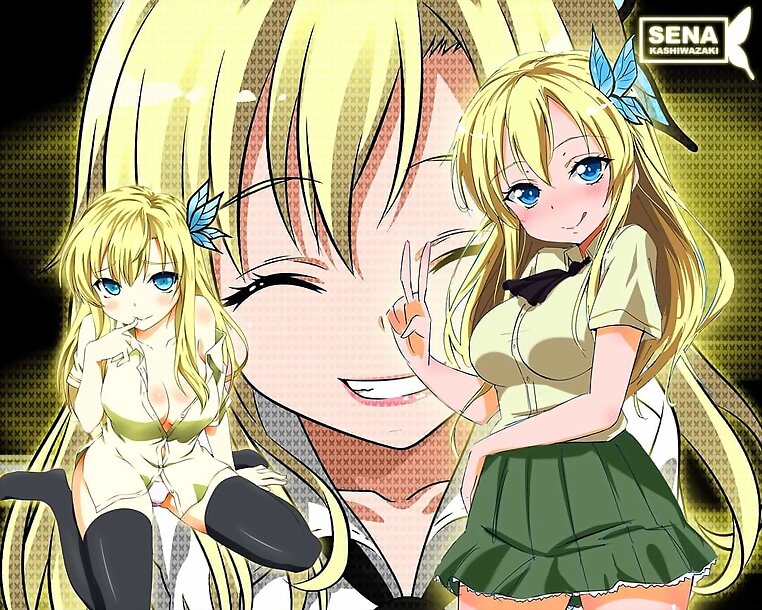 Sena Kashiwazaki (Boku Wa Tomodachi Ga Sukunai)