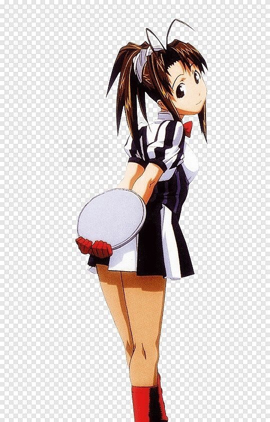 Naru Narusegawa (Love Hina)