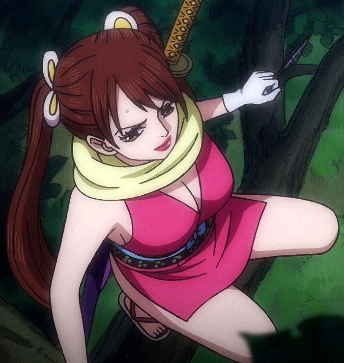 Shinobu (One Piece)