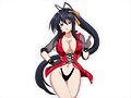Akeno Himejima (Highschool DxD)