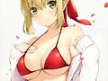 Saber Nero (Fate Extra)