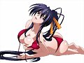 Akeno Himejima (Highschool DxD)