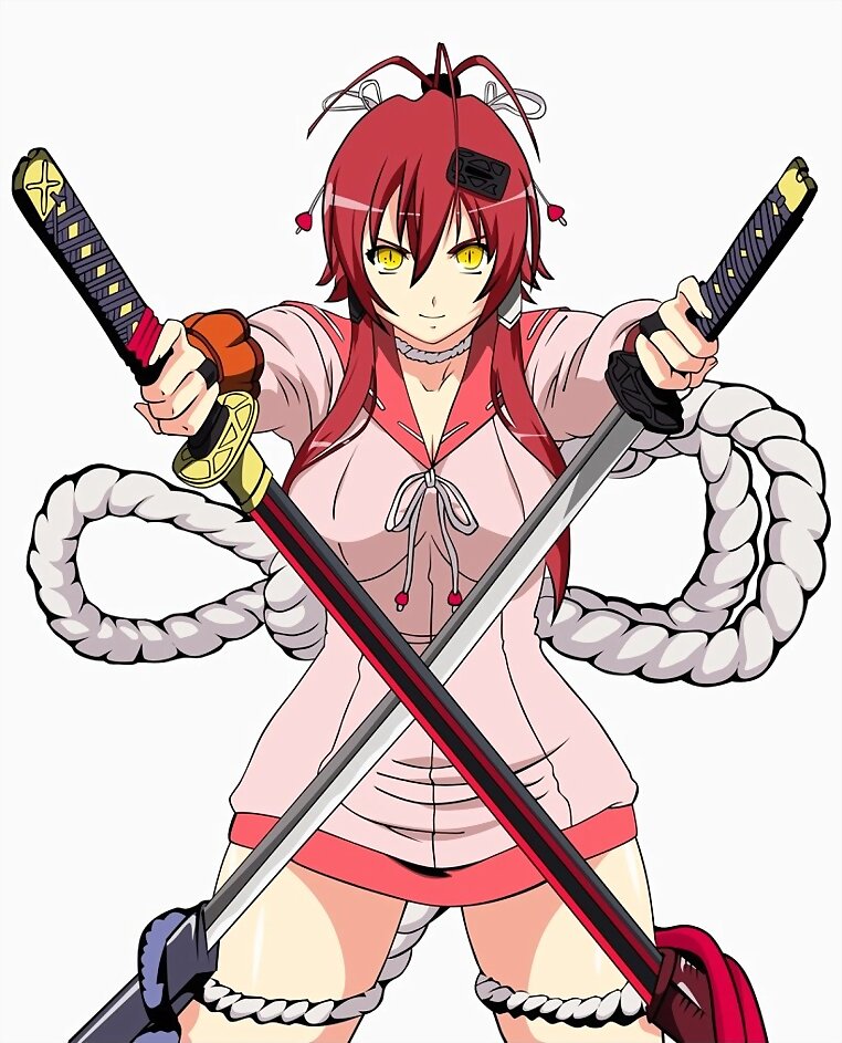 Hyakka Ryouran (Samurai Girls)
