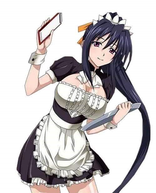 100% Highschool DxD