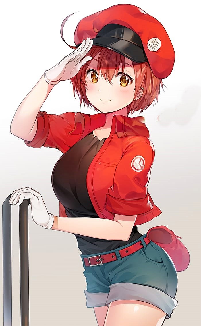 Erythrocyte (Hataraku Saibou)