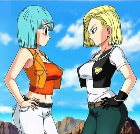 Bulma y Androide Numero 18 (Dragon Ball Z)