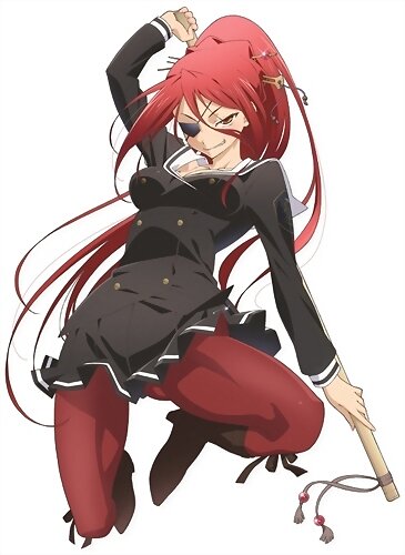 Arashi Nikaido (Onii-Chan Dakedo Ai Sae Areba Kank