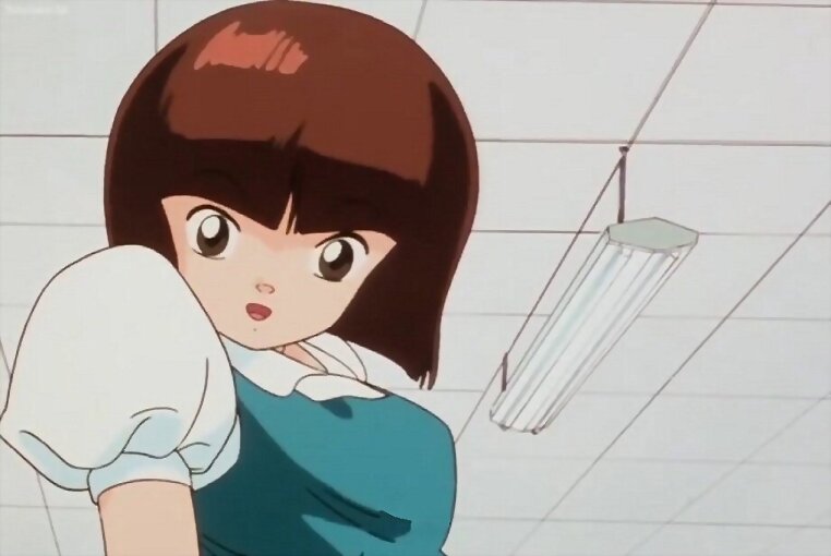 100% Ranma 1/2