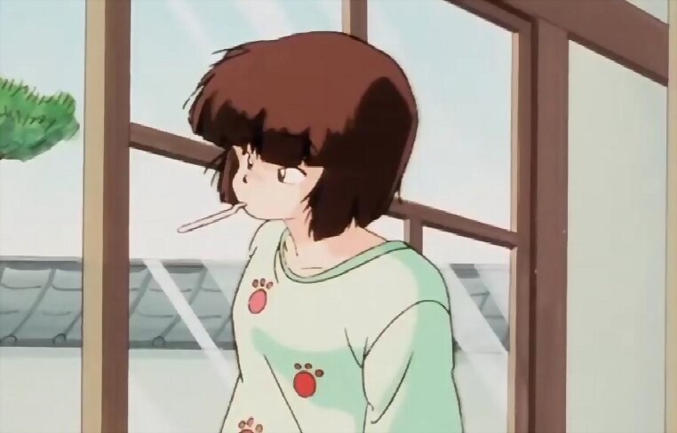 100% Ranma 1/2