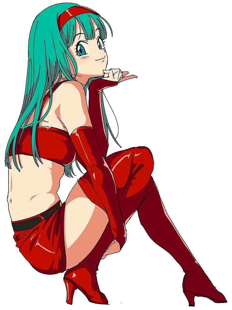 Bra (Dragon Ball GT)