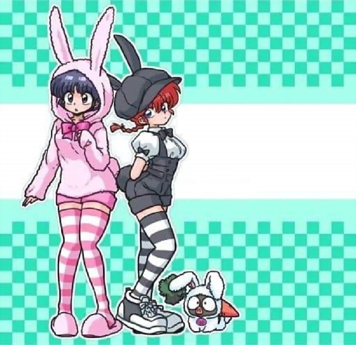 100% Ranma 1/2