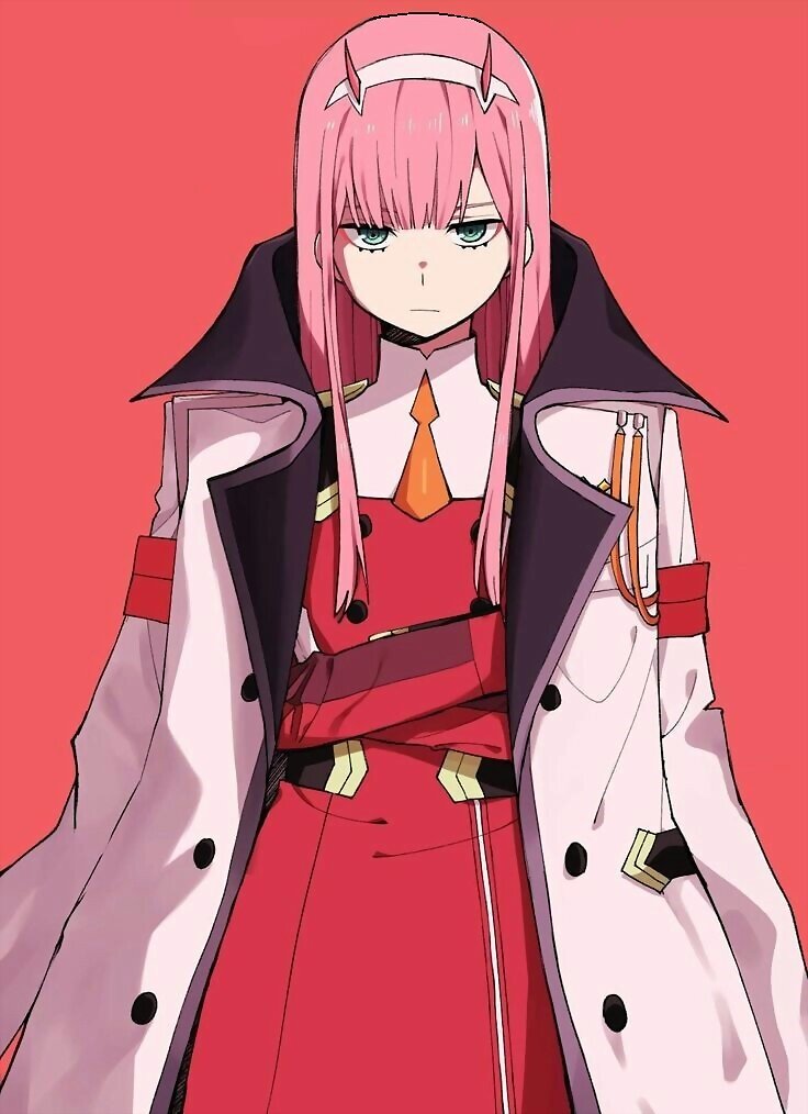 100% Zero Two
