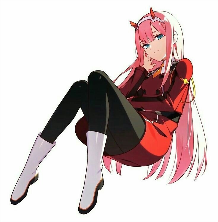 100% Zero Two