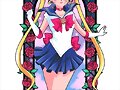 Sailor Moon (Sailor Moon)