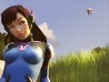 100% Overwatch
