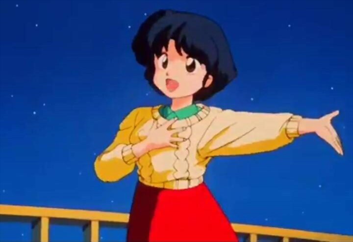 100% Ranma 1/2