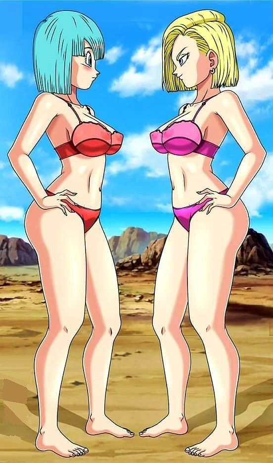 Bulma y Androide Numero 18 (Dragon Ball Z)