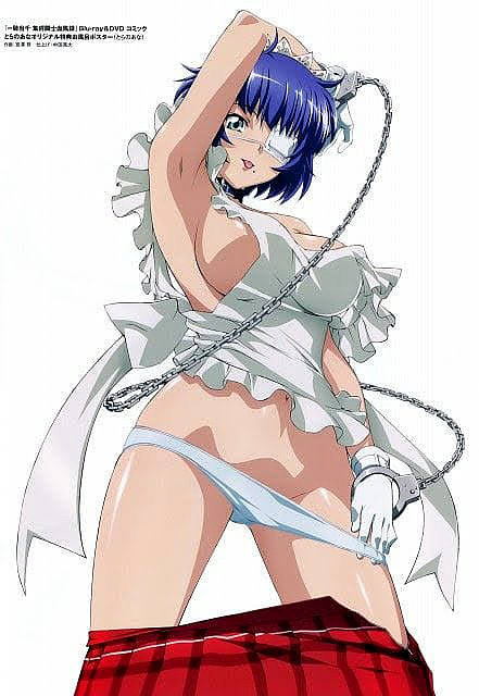 Ryomou Shimei (Ikkitousen)
