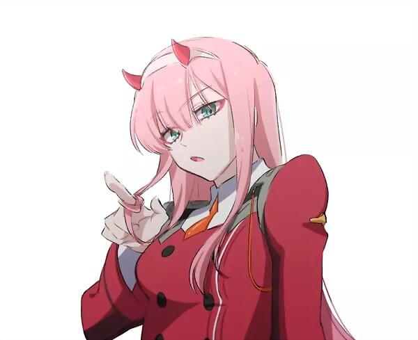 100% Zero Two
