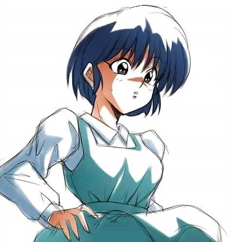 100% Ranma 1/2