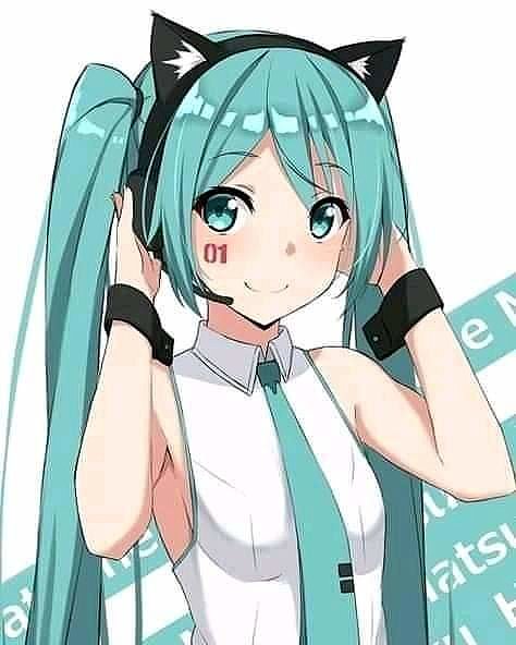 100% Miku