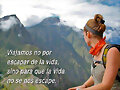 Viajamos no por escapar de la vida