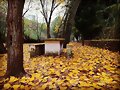 TAL D&Iacute;A COMO HOY