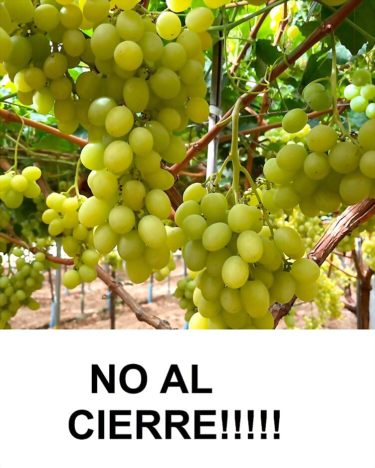 TAL DIA COMO HOY...