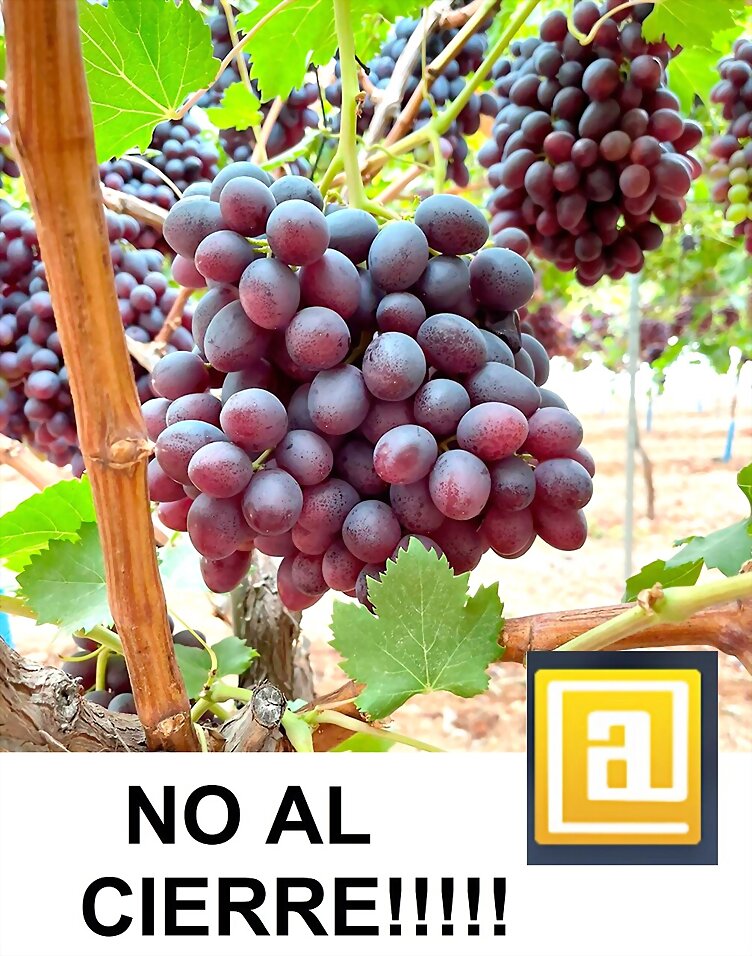 TAL DIA COMO HOY...