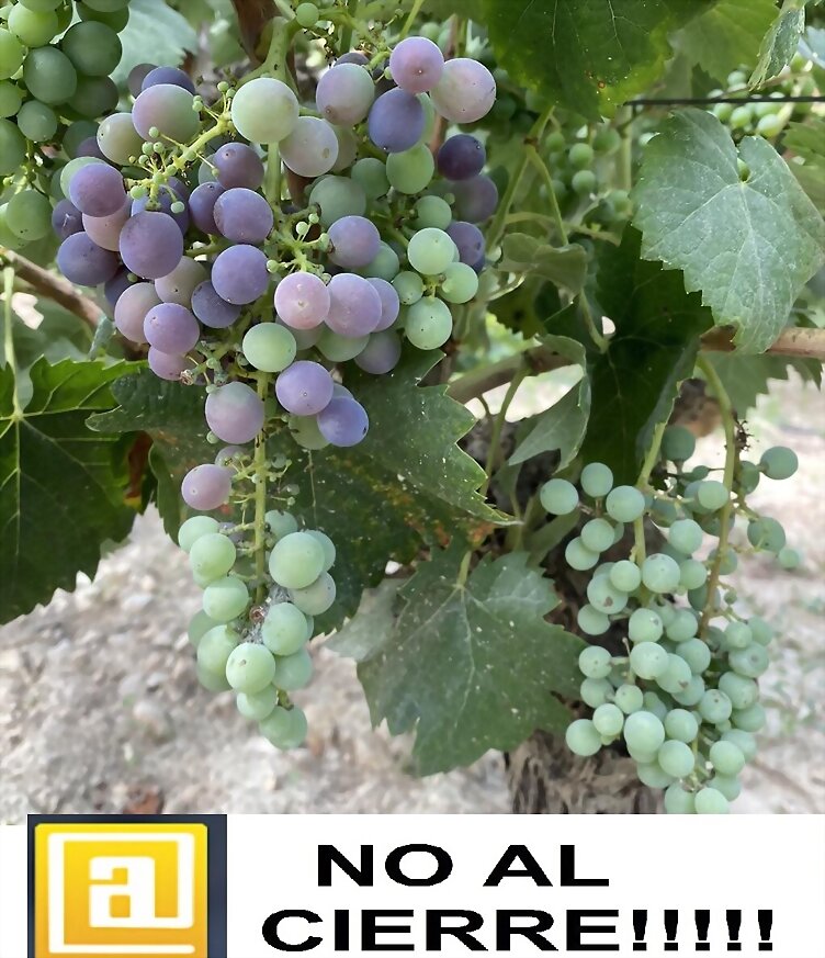 TAL DIA COMO HOY...
