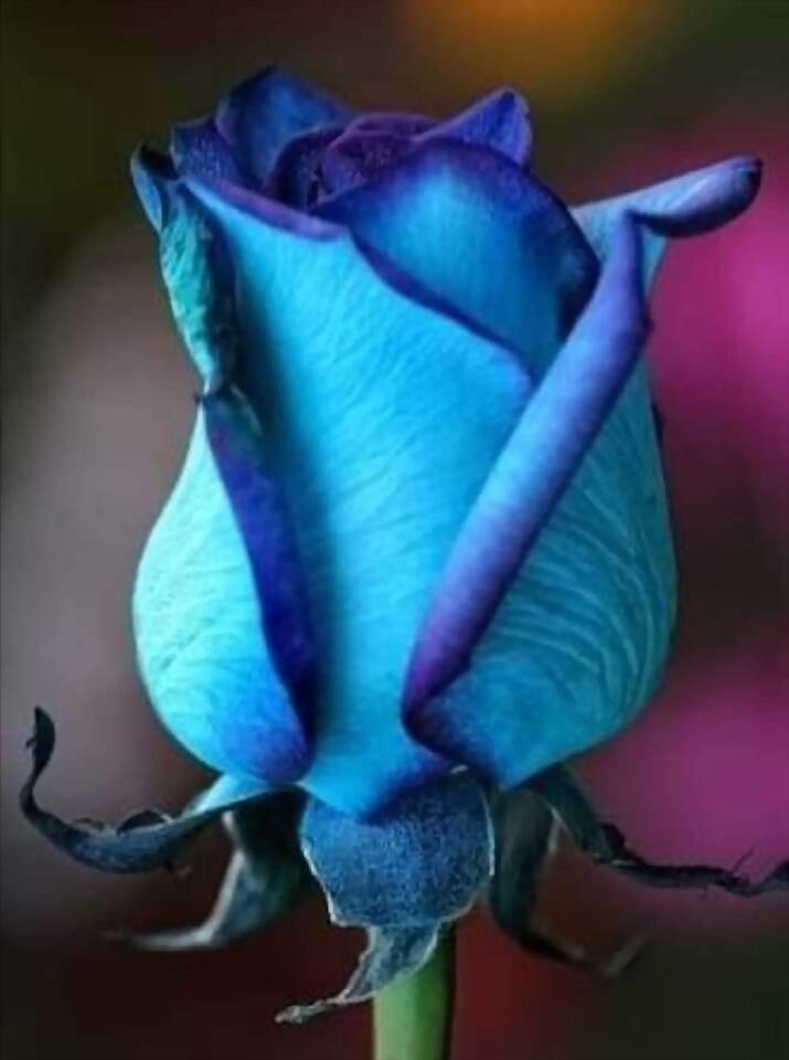 TAL DIA COMO HOY...