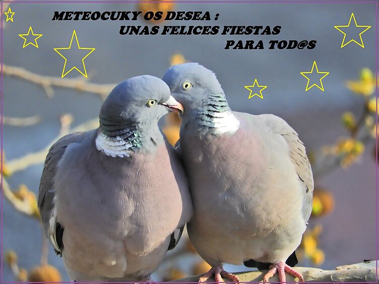 TAL DÍA COMO HOY