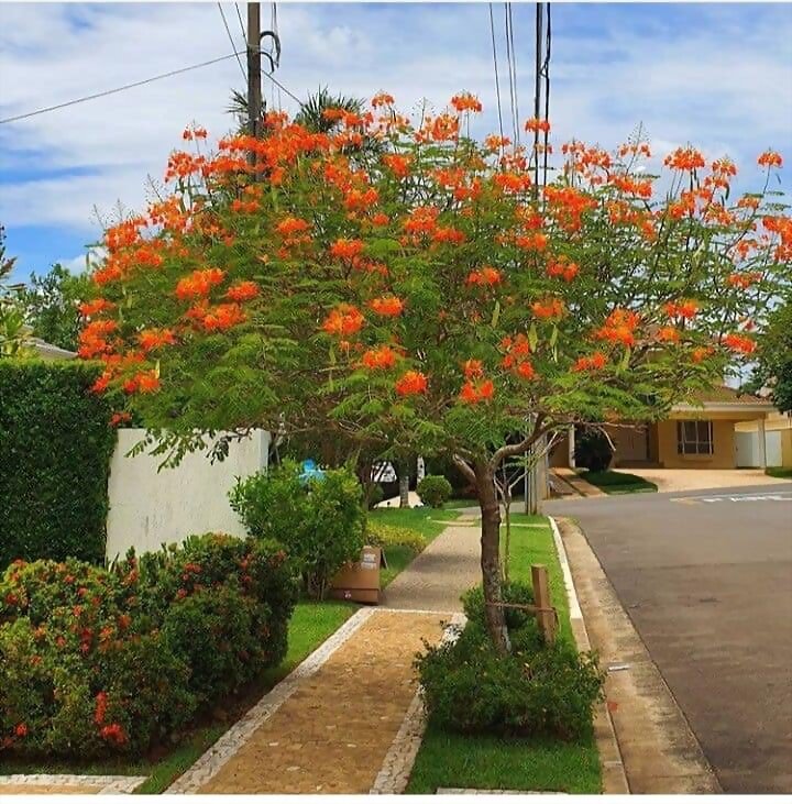 TAL DIA COMO HOY...